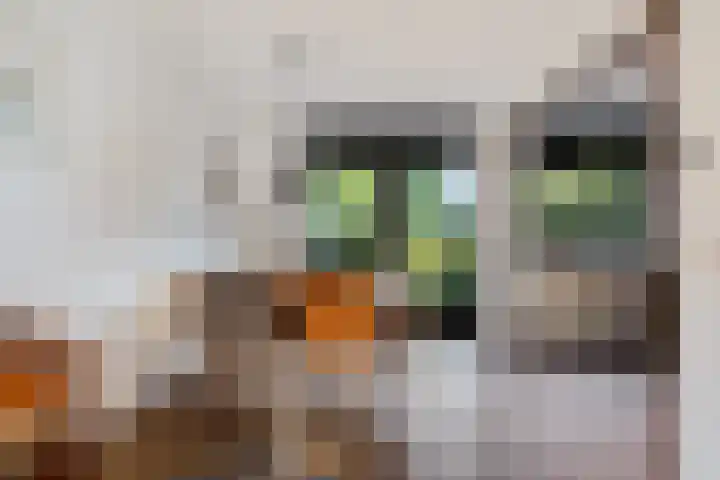 De teeme 14 Steenwijk thumbnail 8