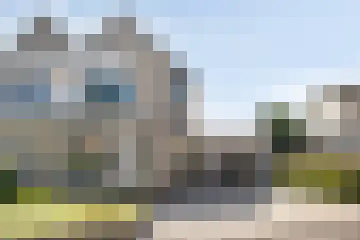 De teeme 5 Steenwijk