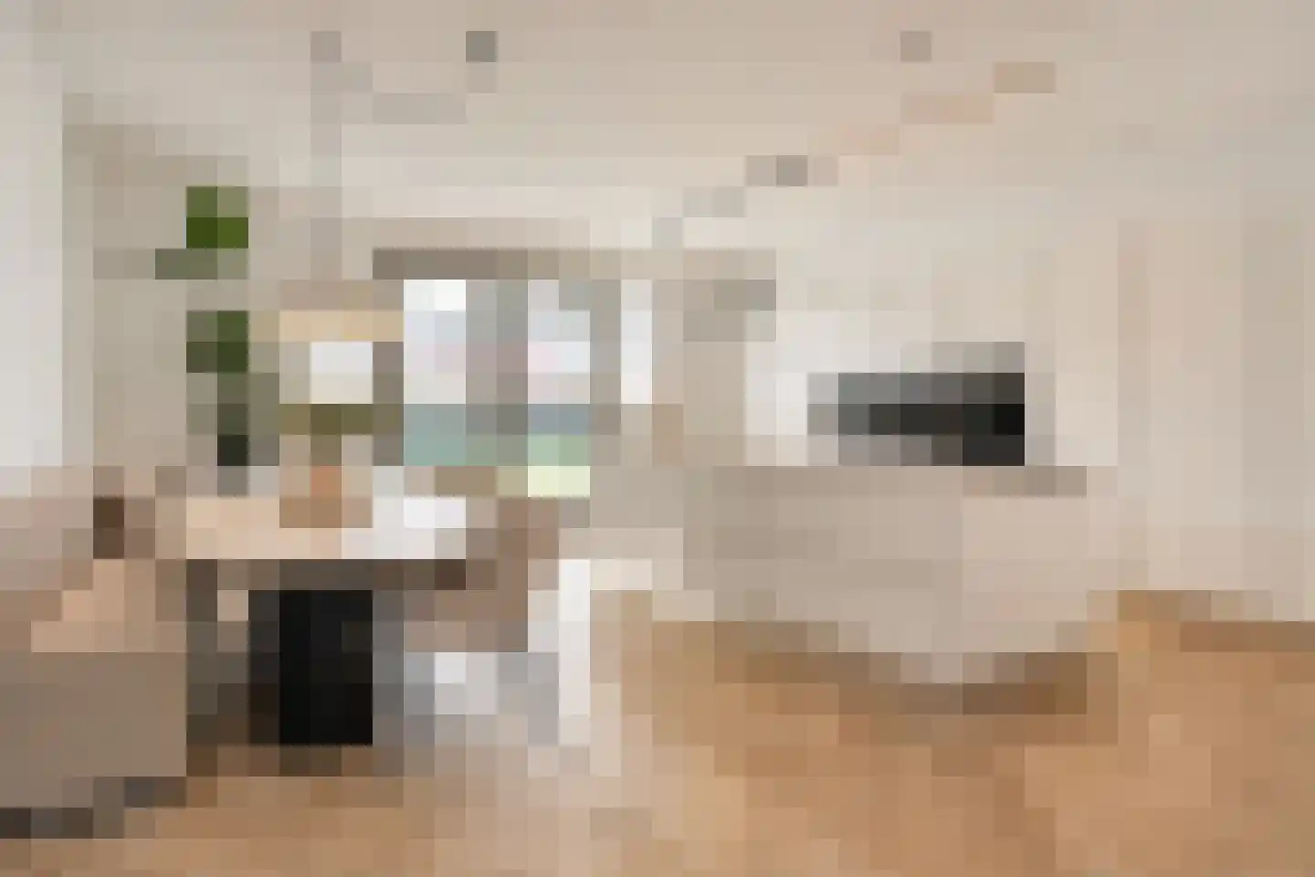 De Tegelarije 9 Roermond thumbnail 17