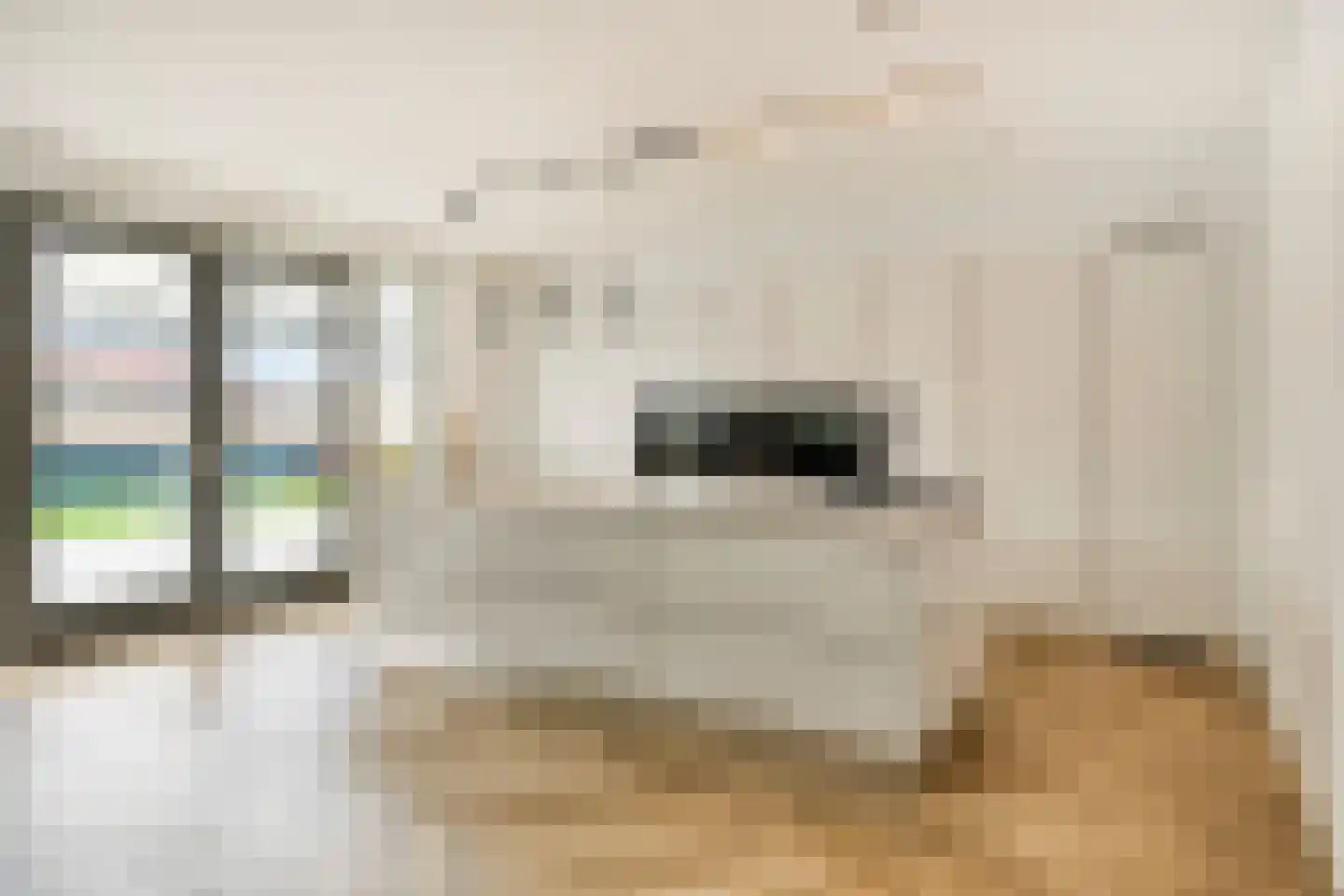 De Tegelarije 9 Roermond thumbnail 20