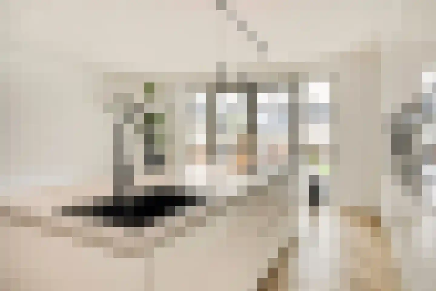 De Tegelarije 9 Roermond thumbnail 22