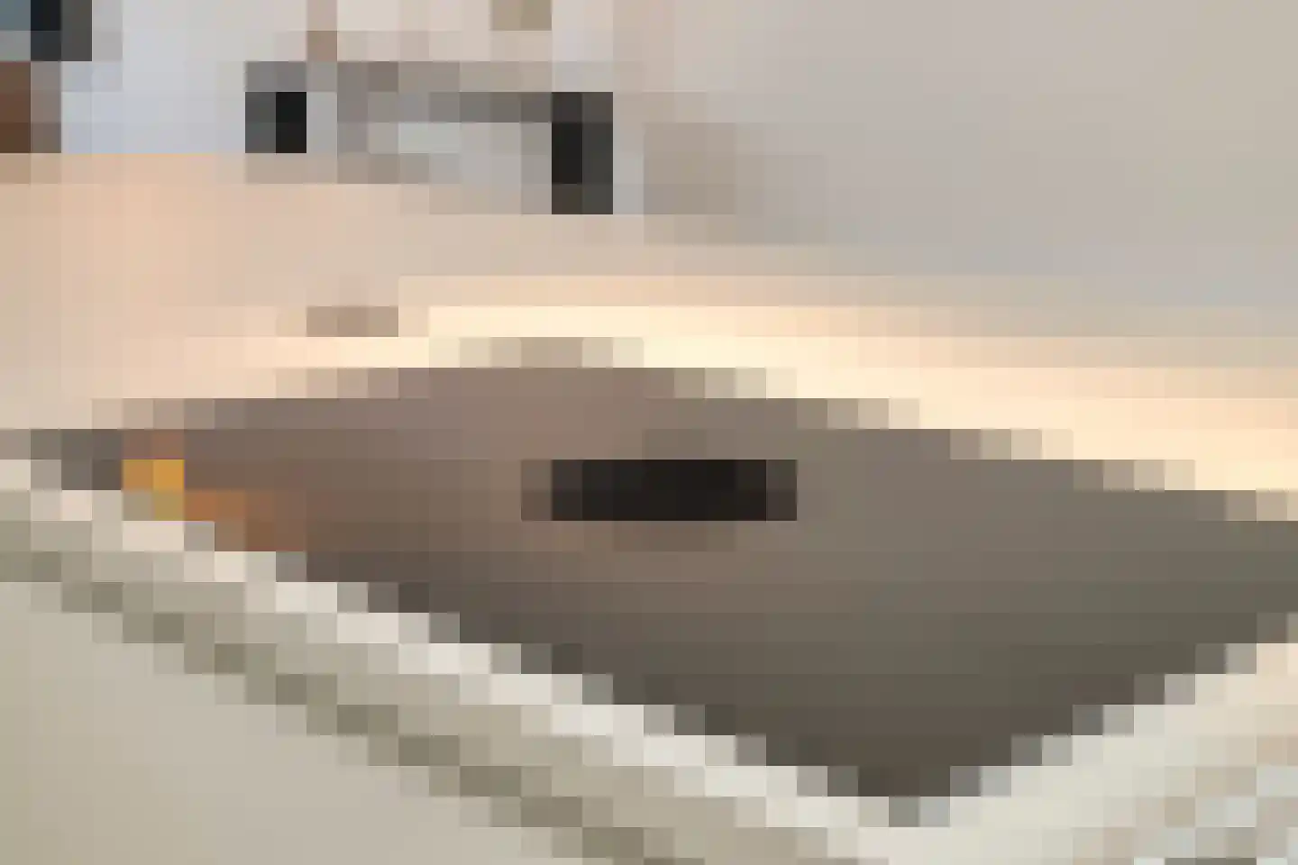 De Tegelarije 9 Roermond thumbnail 24