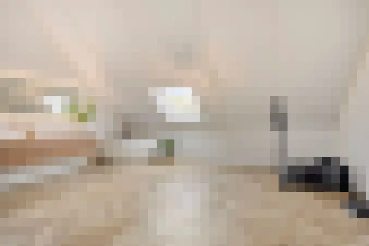 De Tegelarije 9 Roermond thumbnail 37