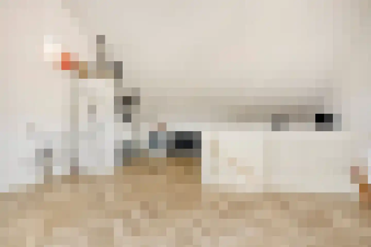 De Tegelarije 9 Roermond thumbnail 42