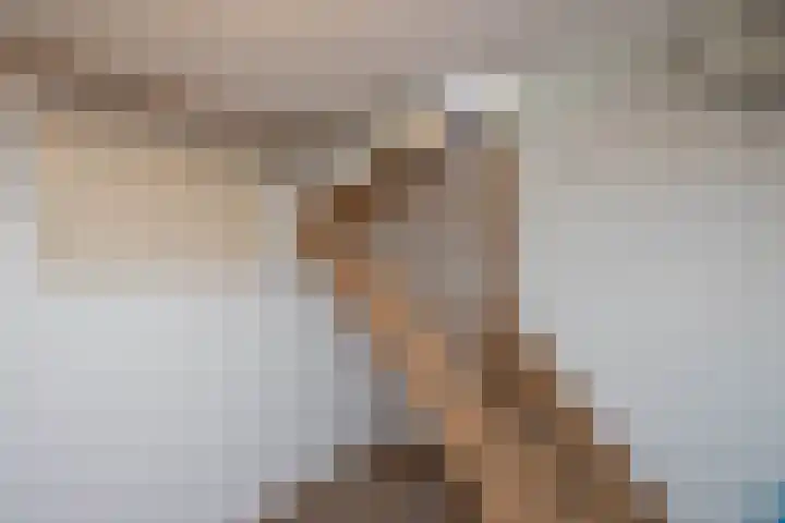 de Teilen 10 Denekamp thumbnail 10
