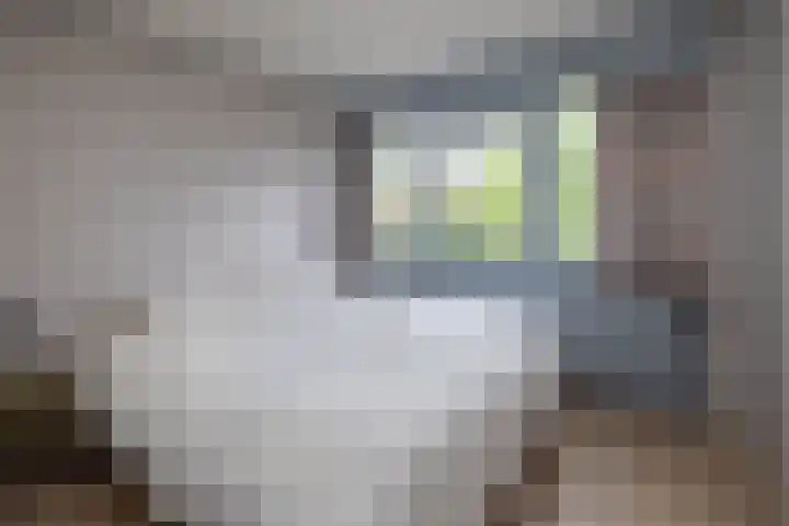 de Teilen 10 Denekamp thumbnail 12