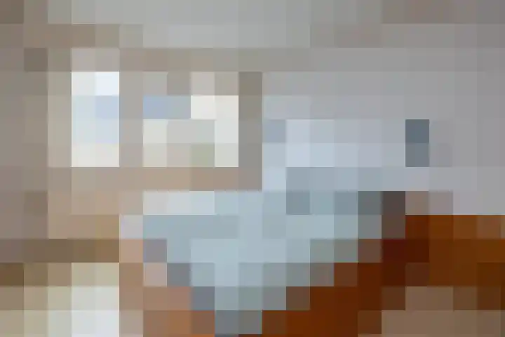 de Teilen 10 Denekamp thumbnail 13