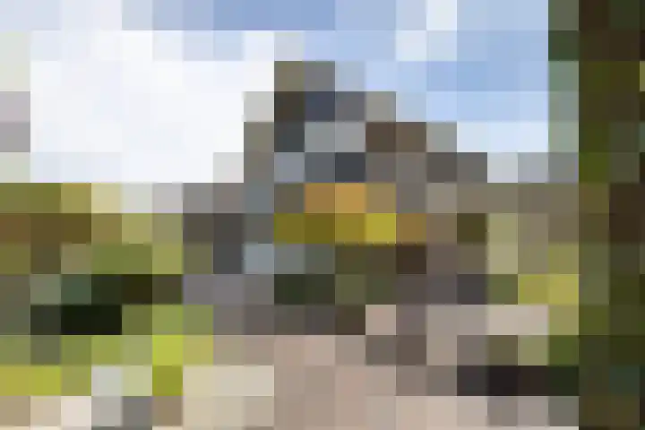 de Teilen 10 Denekamp foto 2