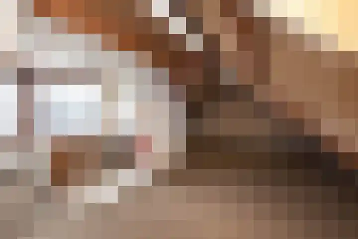 de Teilen 10 Denekamp thumbnail 19