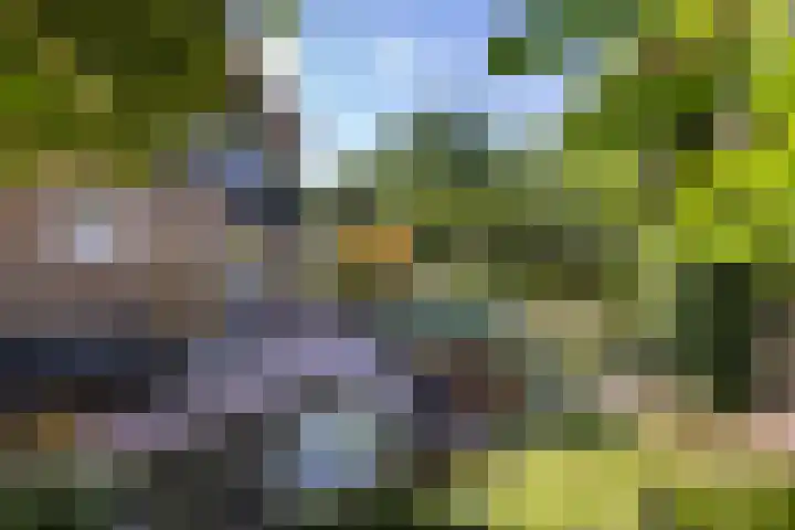 de Teilen 10 Denekamp thumbnail 20