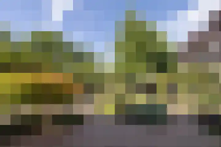 de Teilen 10 Denekamp thumbnail 21