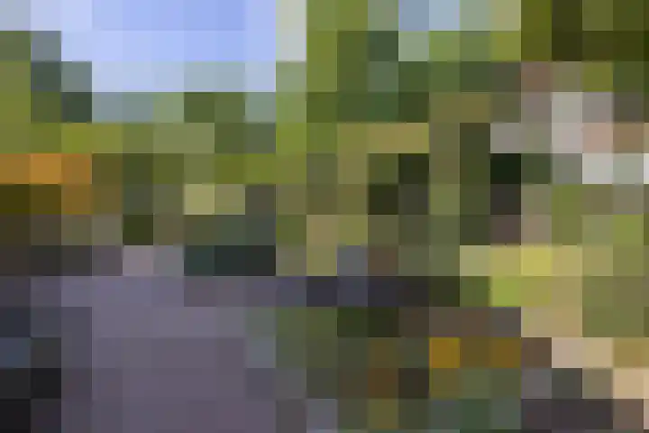 de Teilen 10 Denekamp thumbnail 22