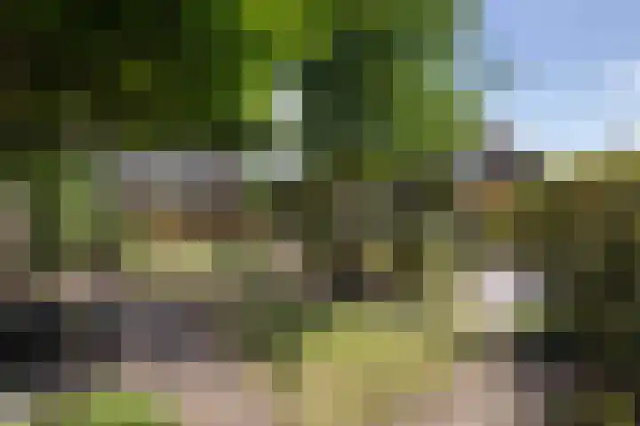 de Teilen 10 Denekamp thumbnail 23