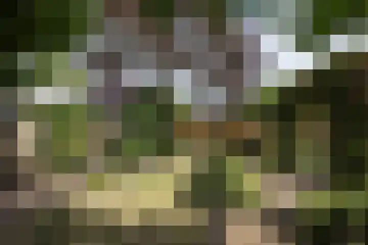 de Teilen 10 Denekamp thumbnail 24