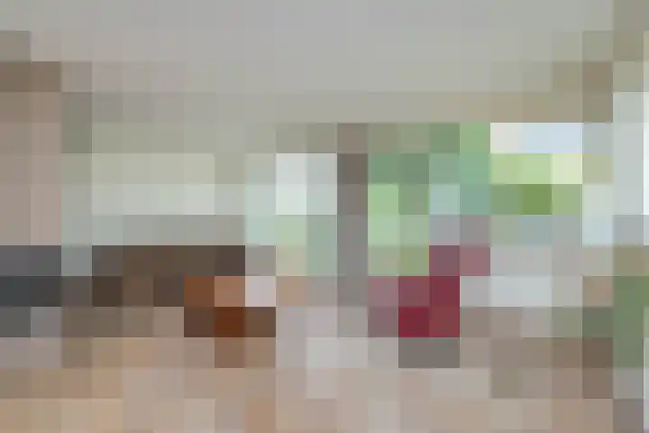 de Teilen 10 Denekamp foto 3