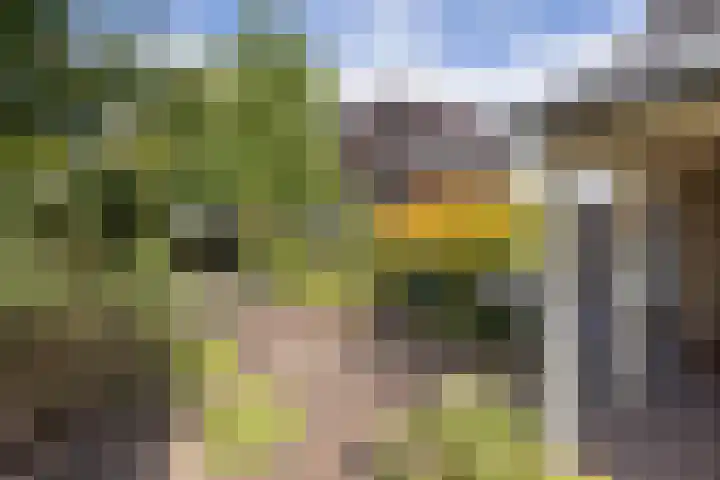 de Teilen 10 Denekamp thumbnail 26