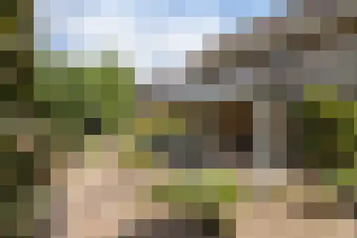 de Teilen 10 Denekamp thumbnail 27