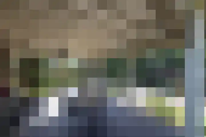 de Teilen 10 Denekamp thumbnail 28