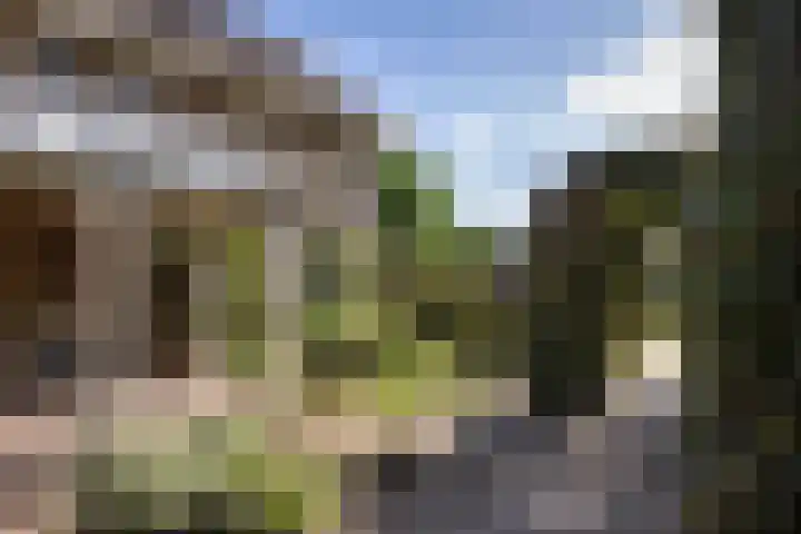 de Teilen 10 Denekamp thumbnail 29