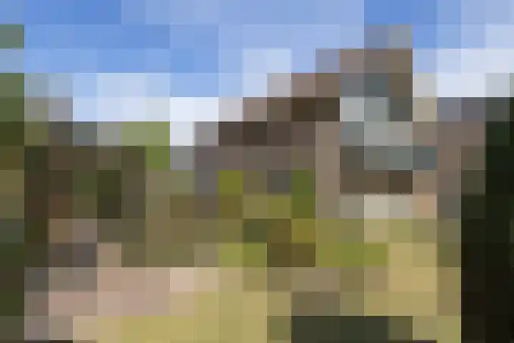de Teilen 10 Denekamp thumbnail 30