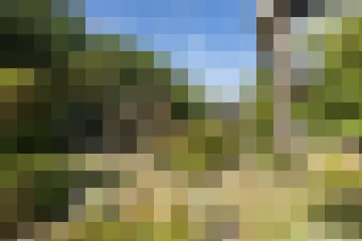 de Teilen 10 Denekamp thumbnail 32