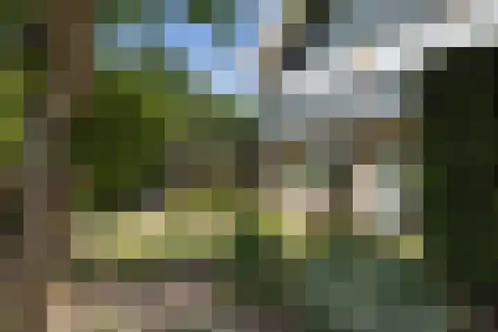 de Teilen 10 Denekamp thumbnail 33