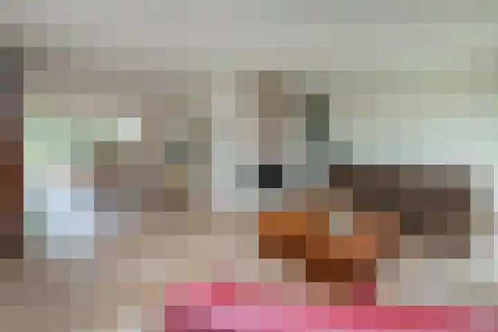 de Teilen 10 Denekamp thumbnail 4