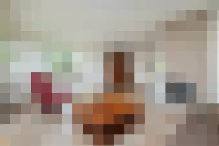 de Teilen 10 Denekamp thumbnail 5