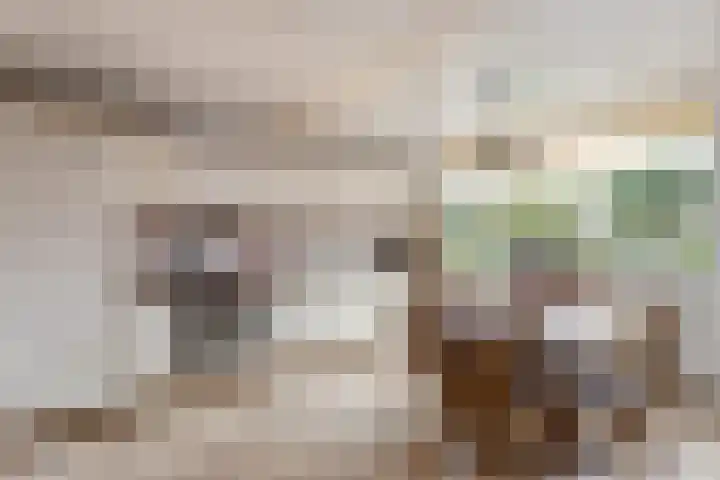 de Teilen 4 Denekamp thumbnail 11