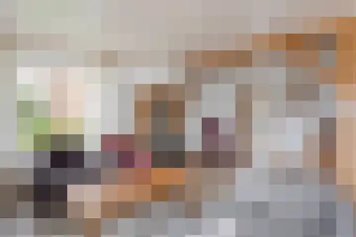 de Teilen 4 Denekamp thumbnail 9