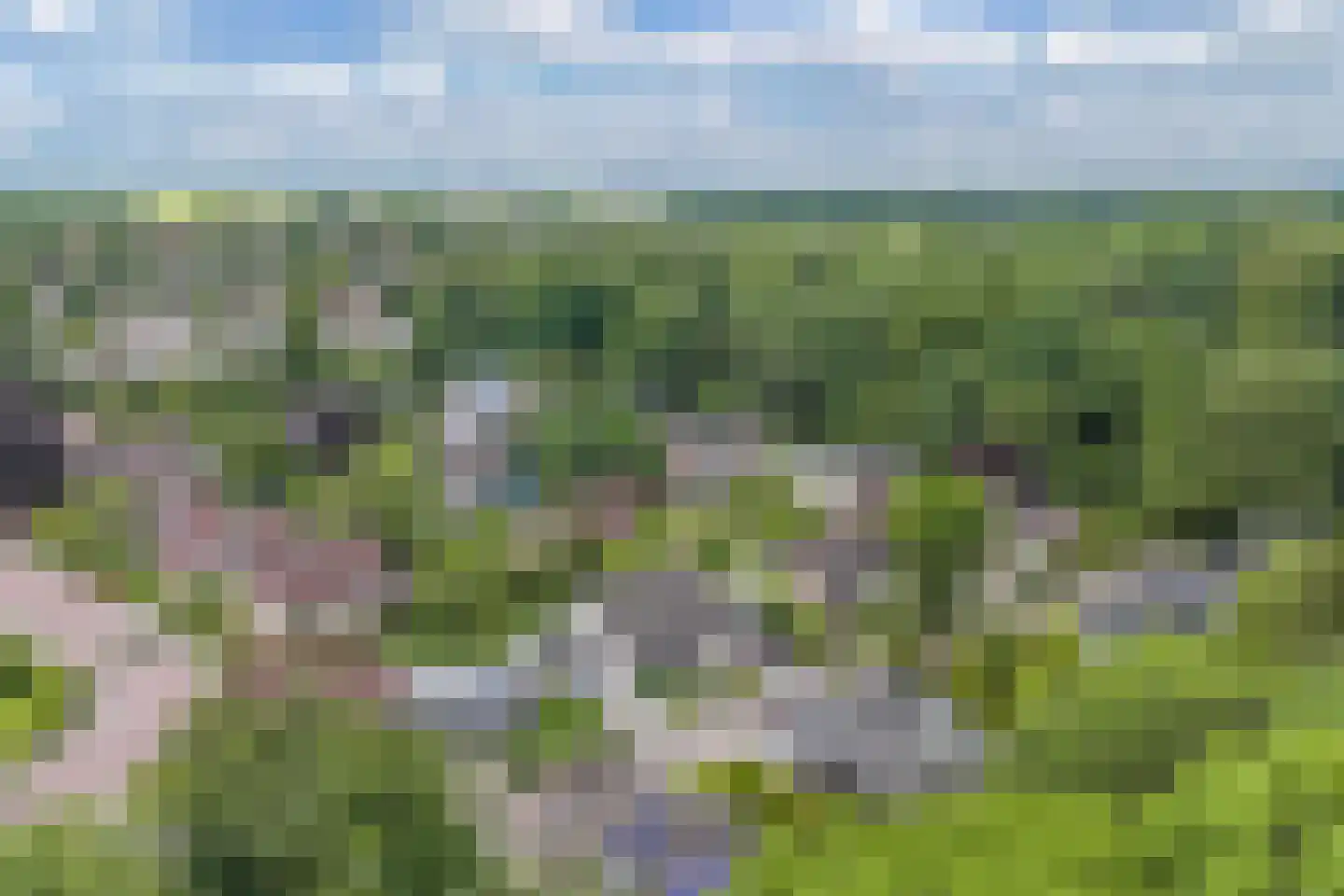 De Telgang 12 Dronten thumbnail 10