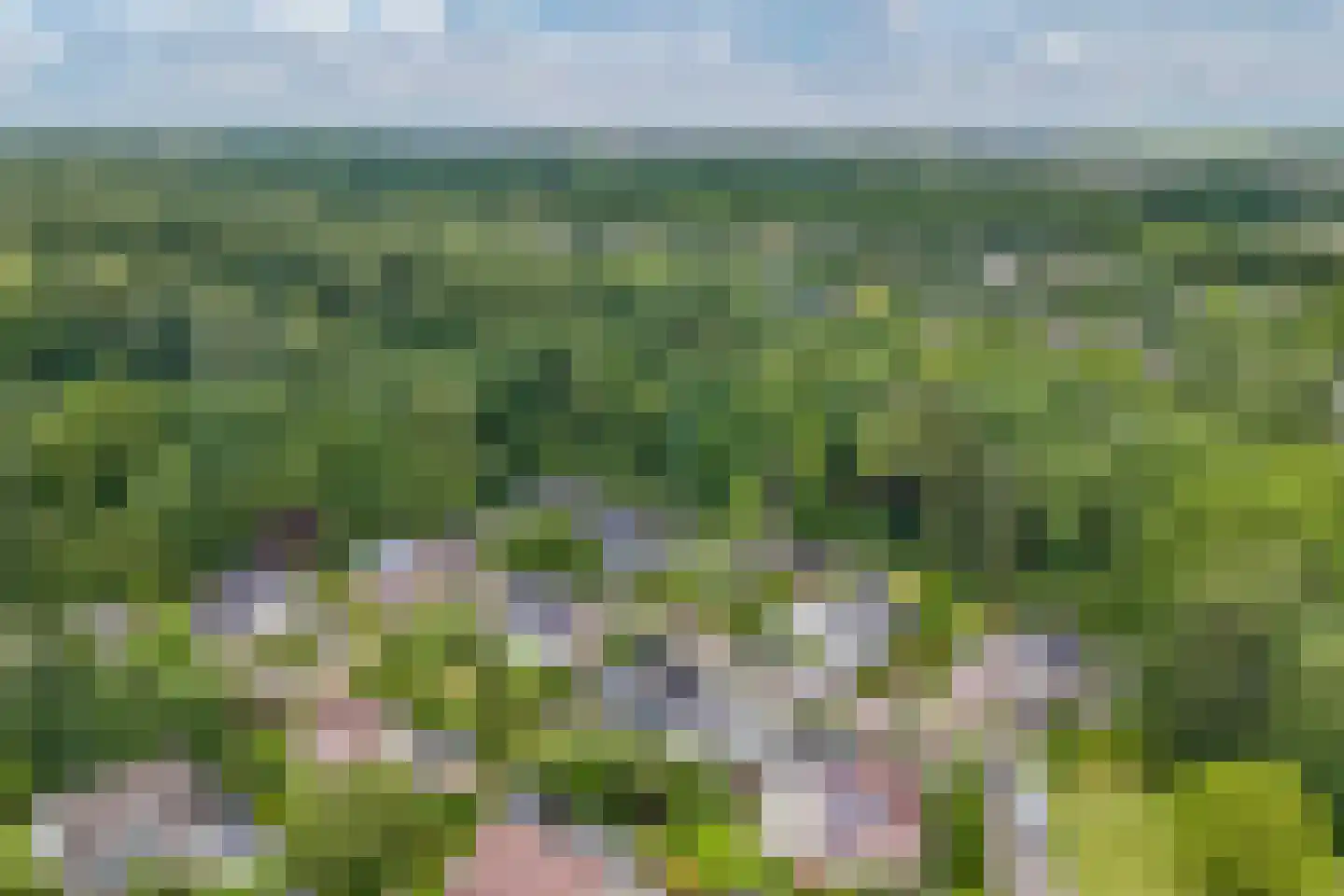 De Telgang 12 Dronten thumbnail 11