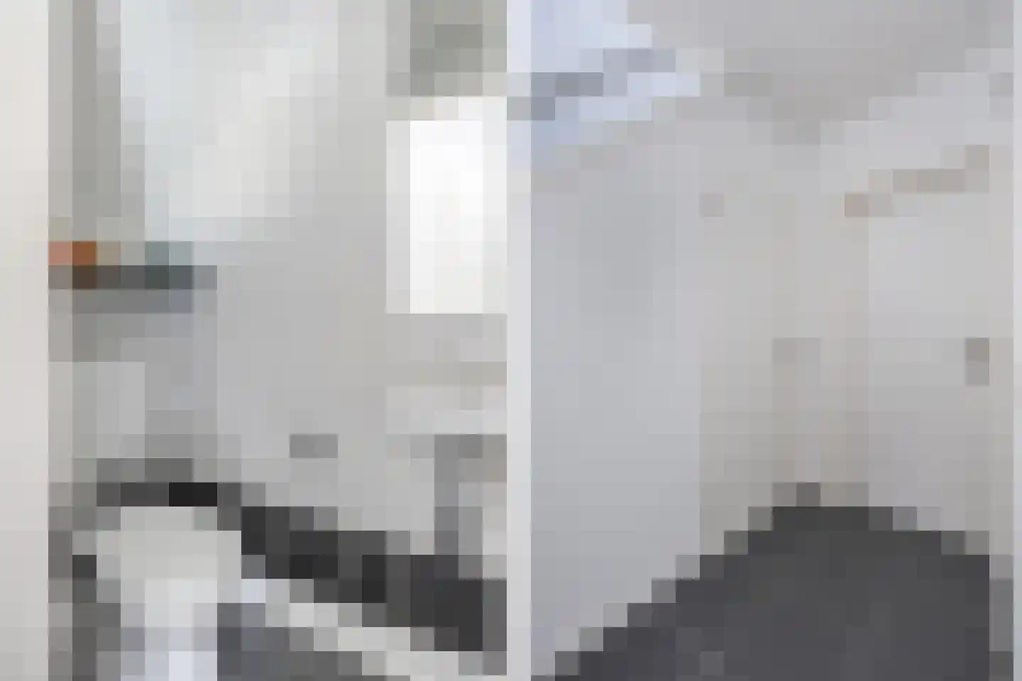 De Telgang 12 Dronten thumbnail 14