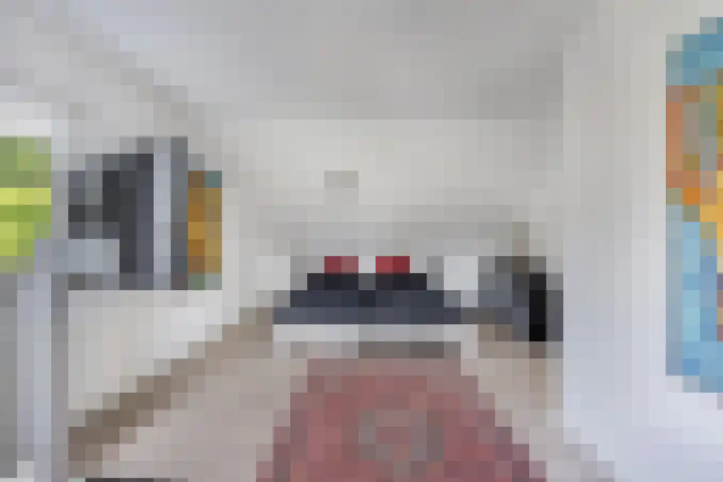 De Telgang 12 Dronten thumbnail 39