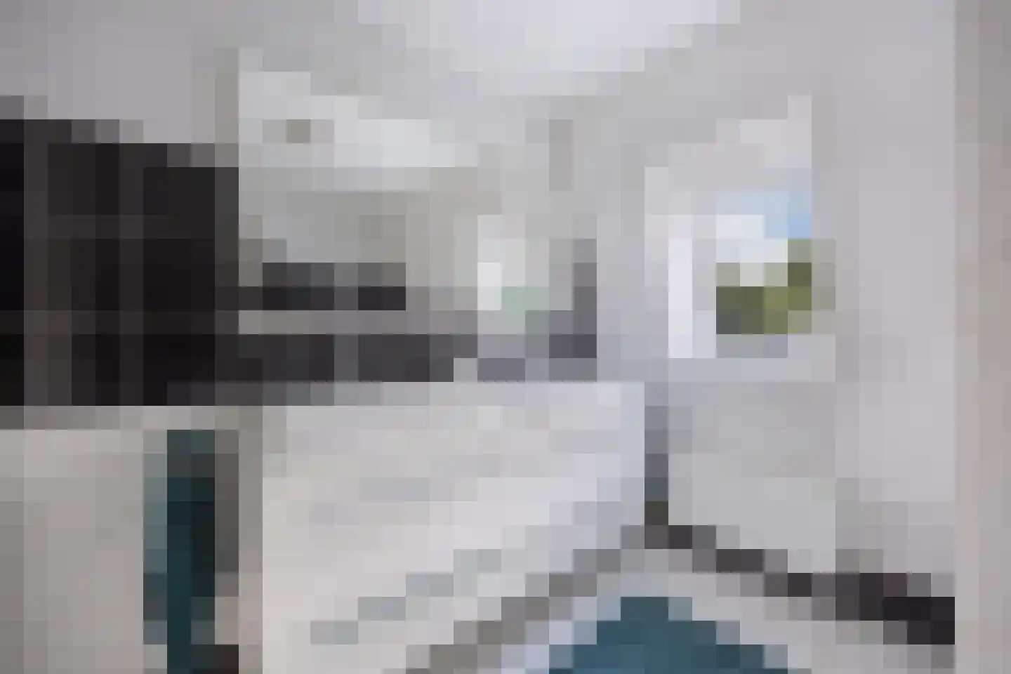 De Telgang 12 Dronten thumbnail 44