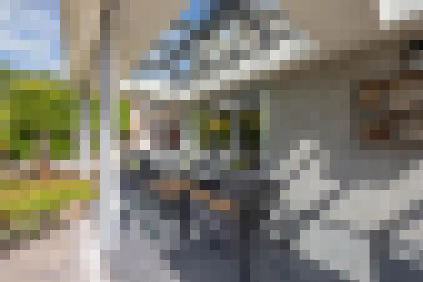De Telgang 12 Dronten thumbnail 48