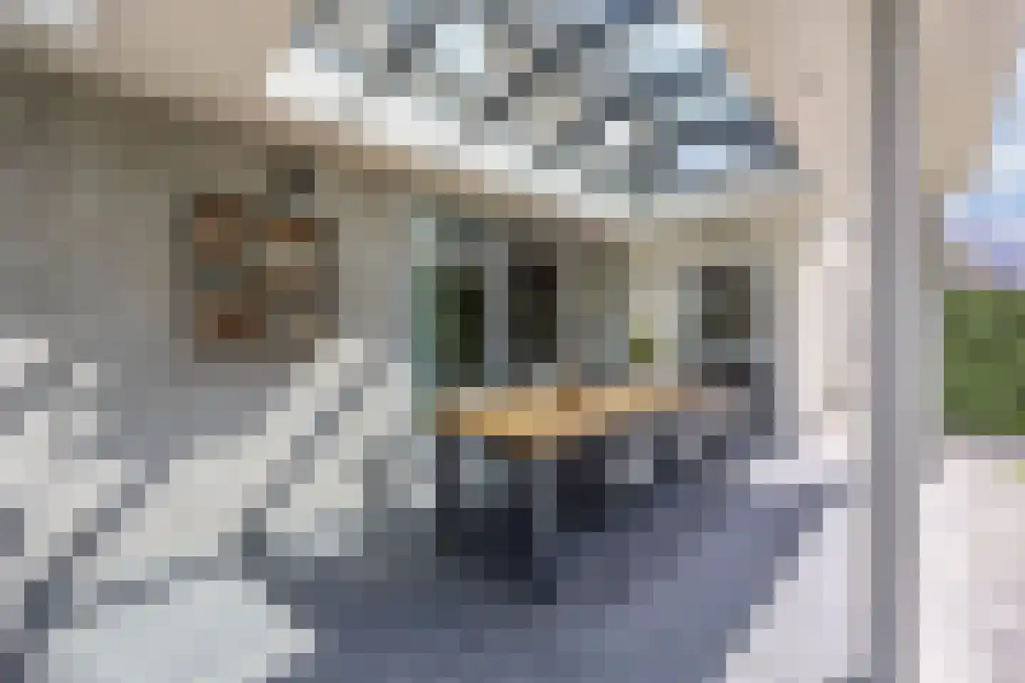 De Telgang 12 Dronten thumbnail 49