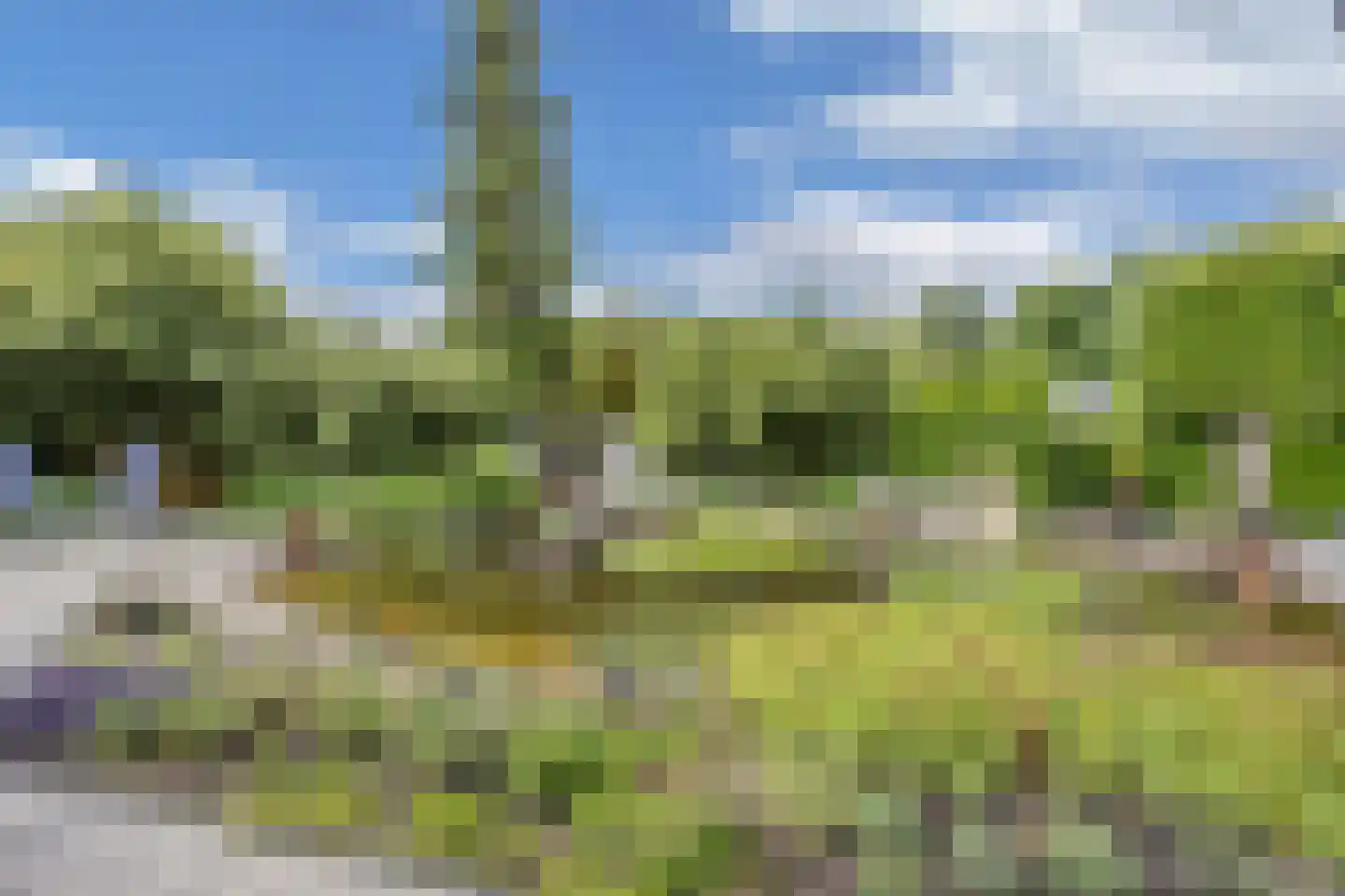 De Telgang 12 Dronten thumbnail 54