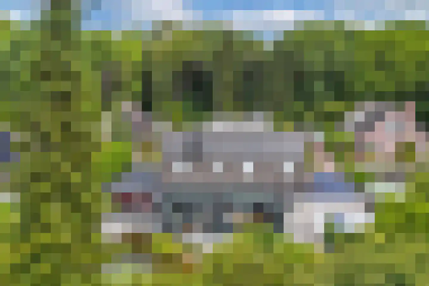 De Telgang 12 Dronten thumbnail 58