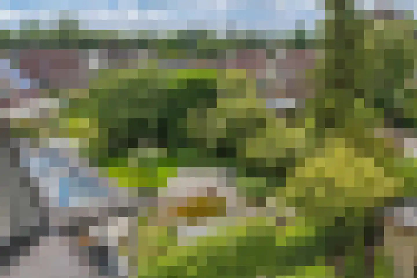 De Telgang 12 Dronten thumbnail 60