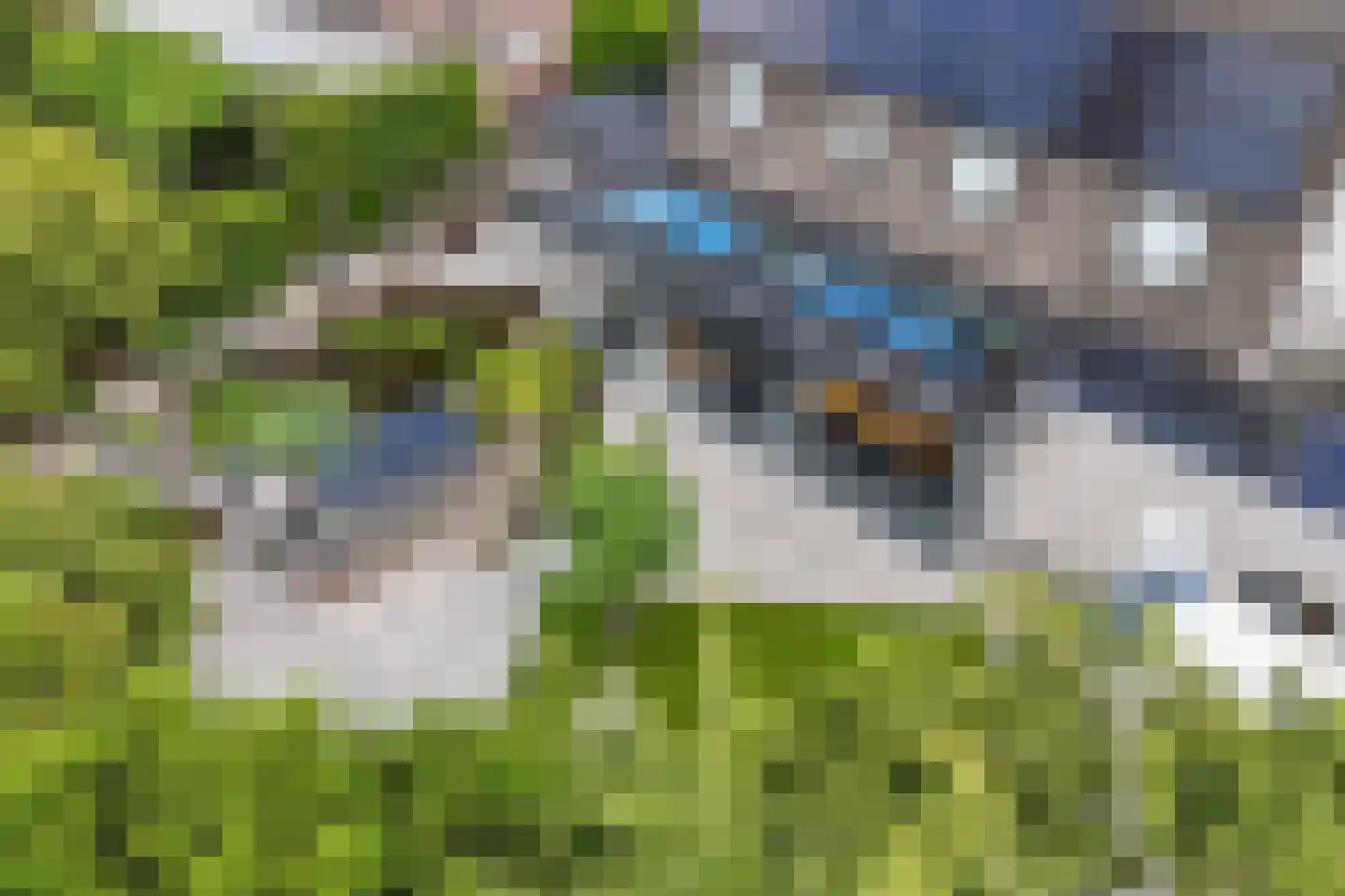 De Telgang 12 Dronten thumbnail 62