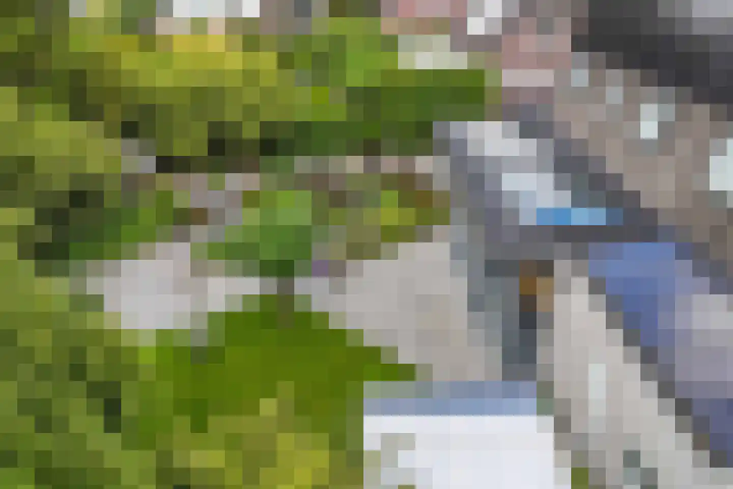 De Telgang 12 Dronten thumbnail 63