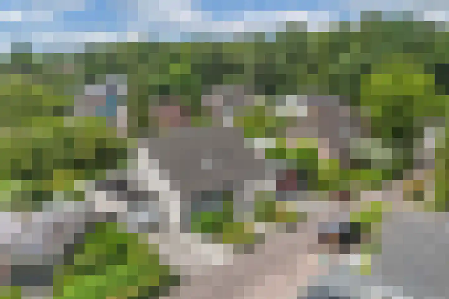 De Telgang 12 Dronten thumbnail 8