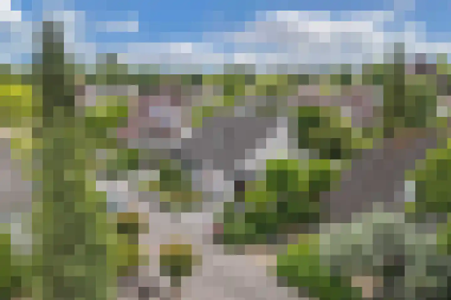 De Telgang 12 Dronten thumbnail 9