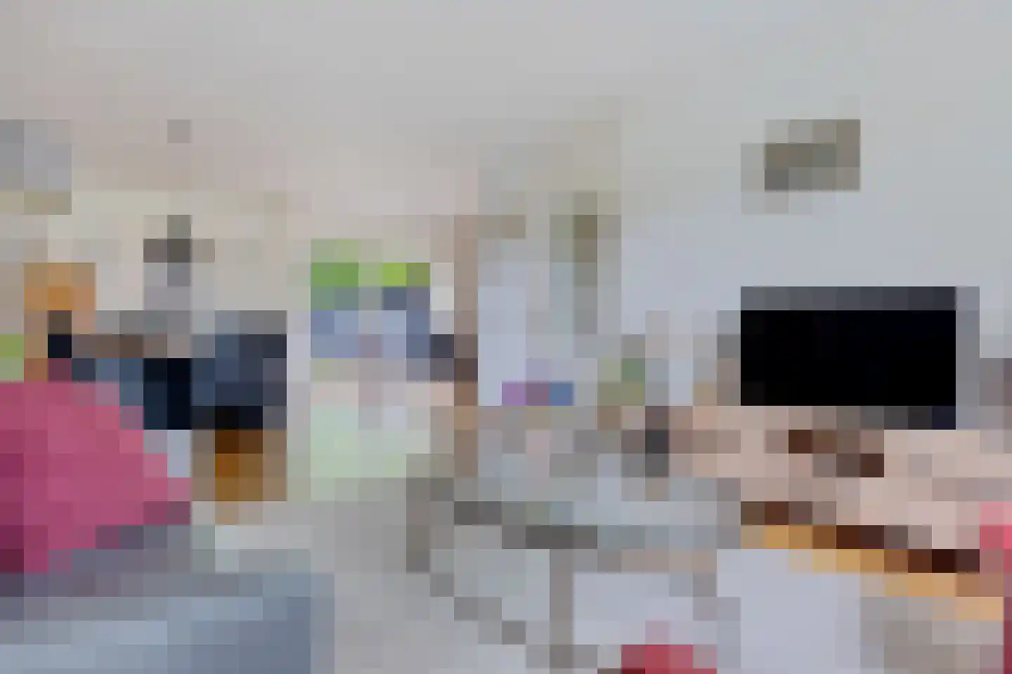 De Telle 62 Ureterp thumbnail 12