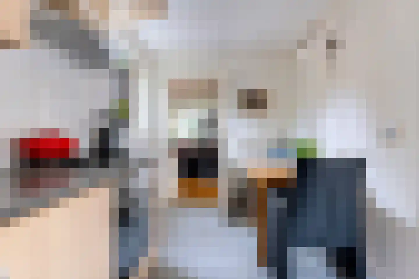 De Telle 62 Ureterp thumbnail 18