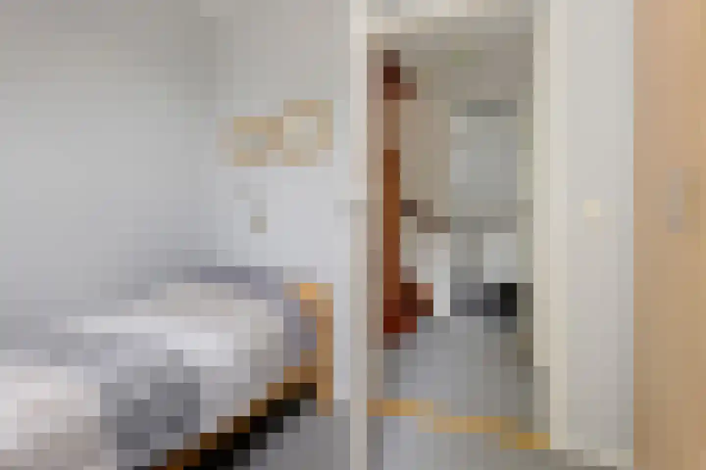 De Telle 62 Ureterp thumbnail 30