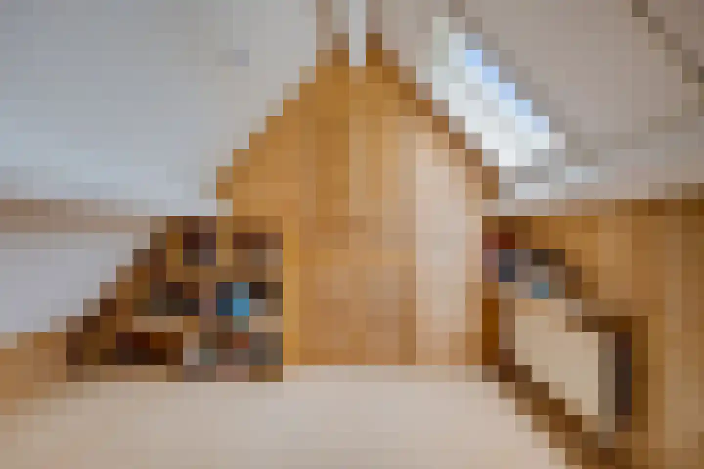 De Telle 62 Ureterp thumbnail 33