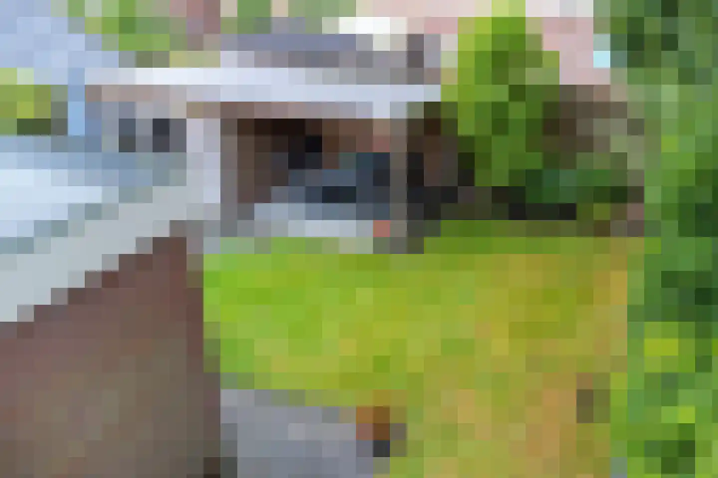 De Telle 62 Ureterp thumbnail 40