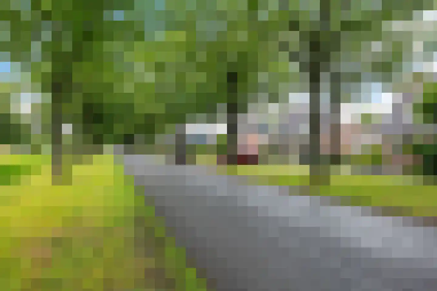 De Telle 62 Ureterp thumbnail 43